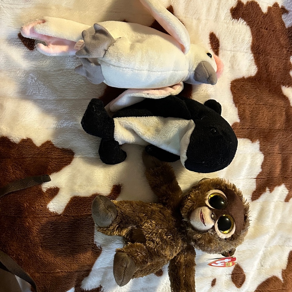 Beanie babies